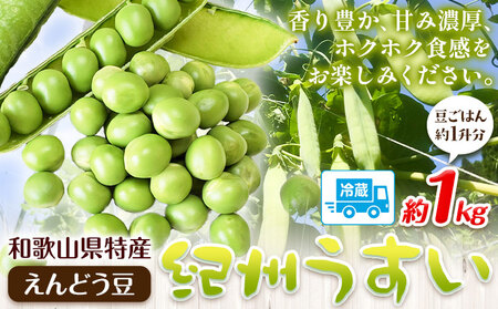 うすいえんどう豆 約1kg《5月下旬-6月下旬頃出荷》