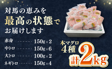 対馬産 本マグロ 4種 計2kg（赤身/中トロ/大トロ/ネギトロ）《対馬市》【対海】 冷凍配送 大容量 新鮮 贈答 贈り物 海鮮丼 手巻き寿司[WAH027]