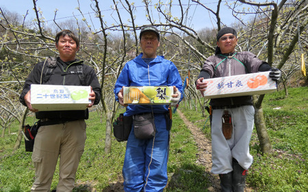 【先行予約】（訳あり）中野農園 梨 ”新甘泉” 3kg箱｜鳥取 岩美 梨 なし ナシ 赤梨 果物 フルーツ【41047】