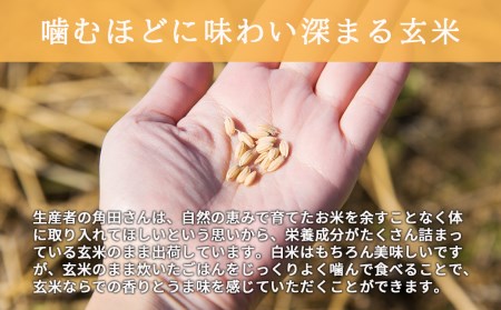 0102 　＜令和6年産新米＞1年間毎月届く！自然栽培米「角田玄米」 5kg定期便