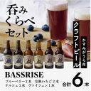 【ふるさと納税】クラフトビール6本セット(ブルーベリー、完熟いちご各2本/ケルシュ、ヴァイツェン各1本)【1235340】