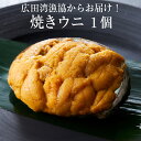 【ふるさと納税】無添加 焼きウニ 80g × 1個 広田湾漁協からお届け 【 うに ウニ 雲丹 ミョウバン不使用 無添加 濃厚 天然 海産物 海の幸 冷凍 人気 旬 ギフト 贈り物 贈答品 お祝い 年末年始 おせち おすすめ お取り寄せ リピート うに丼 三陸産 岩手県 陸前高田市 】