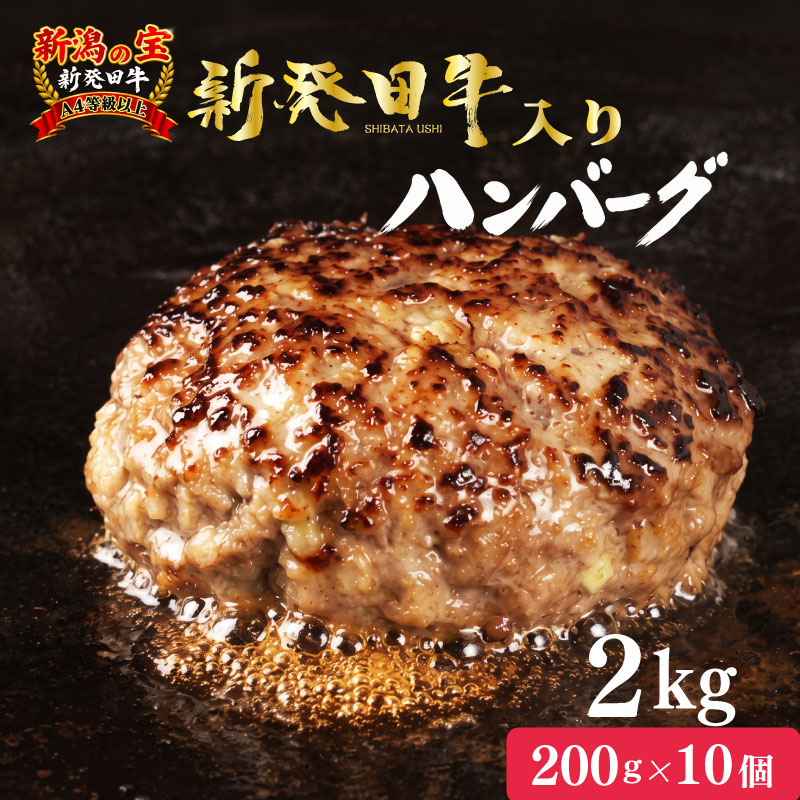 【ふるさと納税】 新発田牛入 ハンバーグ 10個 新発田牛 ブランド牛 国産 人気 ハンバーグ 冷凍 個包装 小分け 肉 牛肉 豚肉 和牛 ハンバーグ ビーフ ポーク はんばーぐ 挽肉 国産和牛 ハンバーグ お肉 ミンチ お弁当 新潟県 新発田市 新潟 新発田 shibatanomegumi001