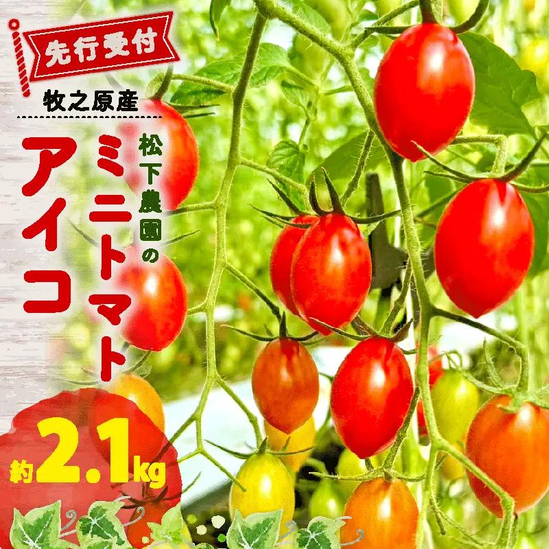 【先行予約】アイコ ミニトマト 2.1kg トマト 牧之原 静岡県 松下農園