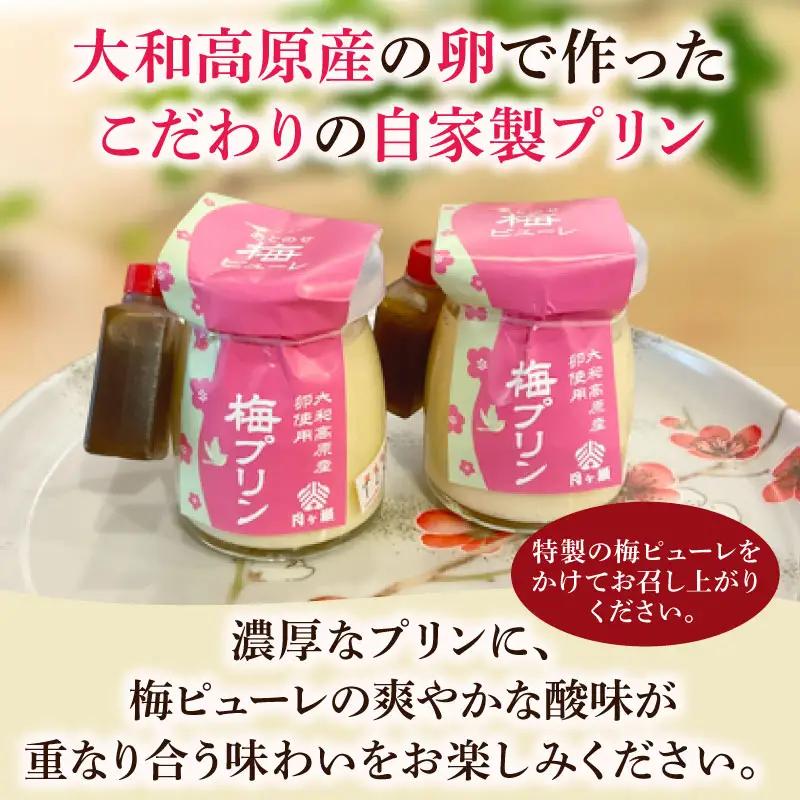 梅プリン 8個入り