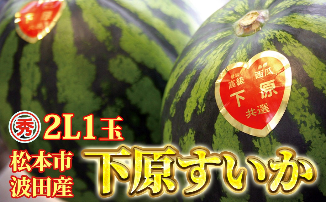 信州松本波田産「下原すいか」2L【先行受注★出荷時期：2023年7月中旬頃～】