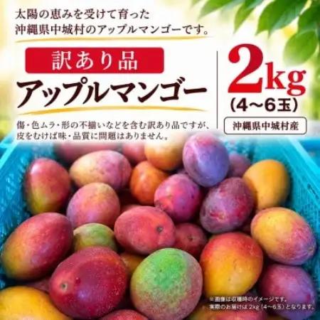 【2027年6月下旬から順次発送】マルトウマンゴーの訳ありアップルマンゴー2kg【配送不可地域：離島】【1781225】