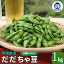 【ふるさと納税】【令和6年産 先行予約】 市場直送「だだちゃ豆」1kg(500g×2袋）