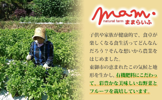 くるみのジェノベーゼ 3個セット【ナチュラルファームままらいふ】