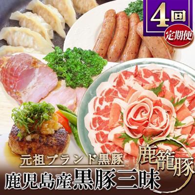 ふるさと納税 枕崎市 【発送月固定定期便】鹿児島県産黒豚三昧 EE0-0005 全4回