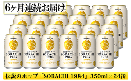 ◆6ヶ月定期便◆上富良野町発祥！伝説のホップ「ソラチエース」使用【SORACHI 1984】350ml×24缶 北海道 上富良野町 ソラチ1984 お酒 酒 飲み物 ビール 地ビール サッポロビール 