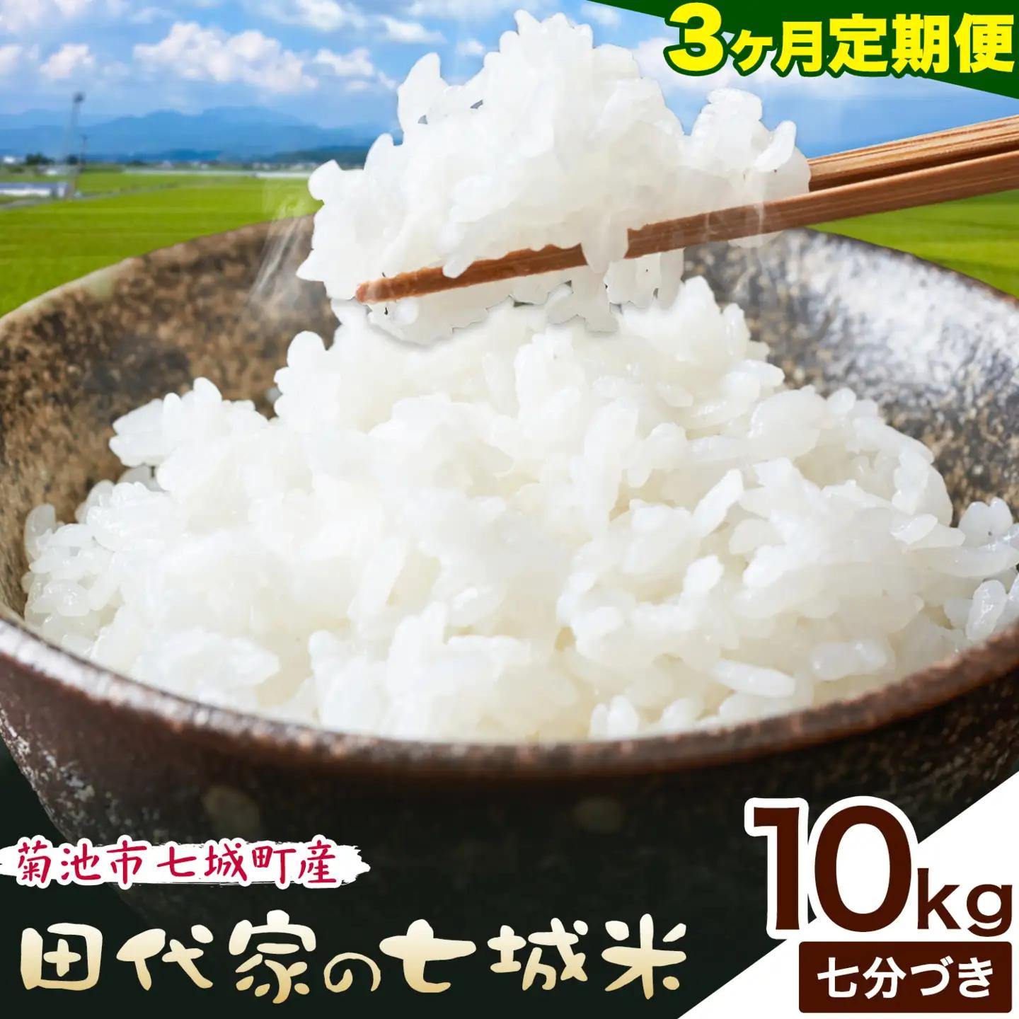 【3ヶ月定期便】令和7年産 菊池市七城町産 田代家の七城米 七城ヒノヒカリ 七分づき 10kg 田代こめや《お申し込み月の翌月から出荷開始》熊本県 菊池市 米 お米 精米 ひのひかり 菊池市産 熊本県産 九州産 送料無料