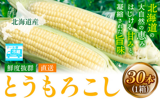 [2.41-263]【2025年先行予約】照之家商店 鮮度抜群とうもろこし30本 | とうもろこし トウモロコシ 北海道とうもろこし 朝採れとうもろこし 産地直送とうもろこし 北海道産とうもろこし