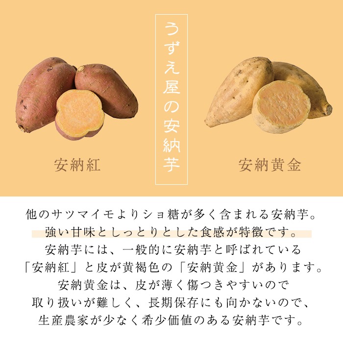 n276 《訳あり》先行予約受付中！2024年10月下旬より順次発送予定！種子島産 安納芋＜紅＞(期間限定容量11kg)【うずえ屋】