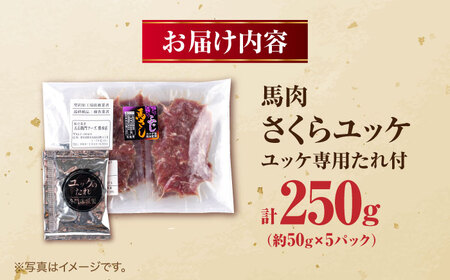 馬肉 さくらユッケ 50g×5パック 計250g お肉 桜ユッケ 赤身 生食 小分け 冷凍【五右衛門フーズ熊本店】[AYBV027]