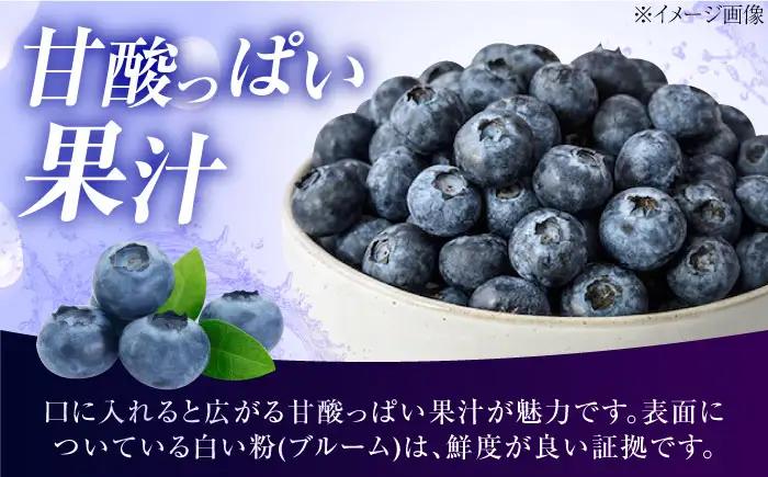 ブルーベリー 生ブルーベリー110g×4 フルーツ 果物 BJBG003