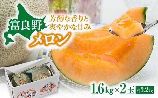 ＜先行受付　2026年発送＞赤肉メロン　1.6kg×2玉【1695337】