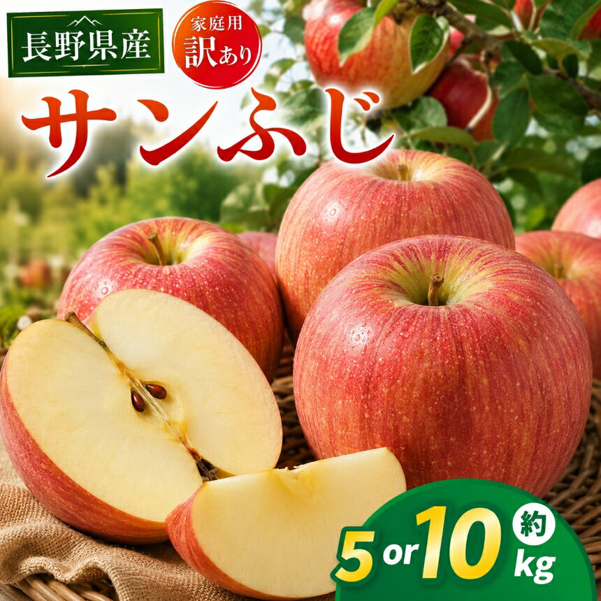 【ふるさと納税】りんご 先行予約 伊那市田原産 リンゴ サンふじ 訳あり 選べる 約5kg or 約10kg 2026年11月中旬～発送｜りんご サンふじ 甘い 訳あり品 美味しい フルーツ 田原 伊那 伊那産 長野県 ふるさと納税 【010-a9】【017-24】