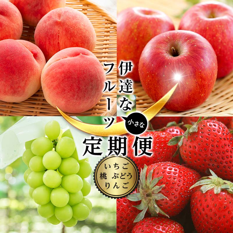 ＜2026年夏から開始の定期便＞伊達な小さなフル－ツ定期便 (桃約1kg・ぶどう1房・りんご約1kg・いちご約500g) 果物 フルーツ 桃 モモ 苺 イチゴ 葡萄 ブドウ 林檎 リンゴ 福島県 伊達