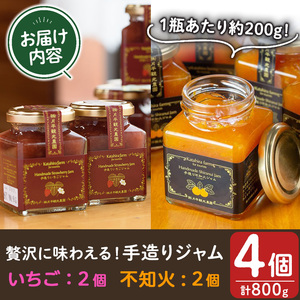 No.1309 苺ジャム(200g×2本)と不知火ジャム(200g×2本) 国産 九州産 鹿児島県産 いちご イチゴ 苺 不知火 しらぬい ジャム フルーツ 果物 柑橘 手作り 手造り 調味料 小分け