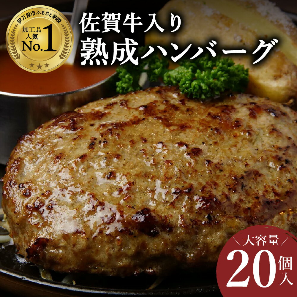 佐賀牛入り 熟成 ハンバーグ 20個 × 約120g