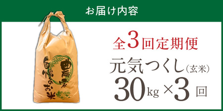 【定期便3回】【令和8年産 新米】福岡県産ブランド米元気つくし 玄米 30kg×3回 _  元気つくし 30kg お届け回数 3回 定期便 福岡県産 ブランド米 新米 福岡生まれ 品種 香り豊か ふっ
