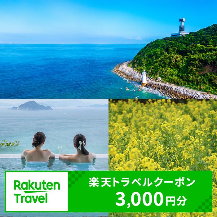 【ふるさと納税】愛知県 田原市の対象施設で使える楽天トラベルクーポン 寄付額10,000円 旅行 宿泊券 渥美半島 ホテル 旅館