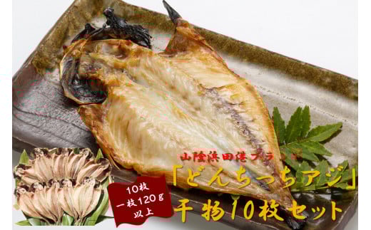 山陰浜田港ブランド「どんちっちアジ」干物10枚セット脂質含有量１０％以上 魚介類 干物 干もの 開き あじ 厳選 海鮮 セット 個包装 【019_1940】