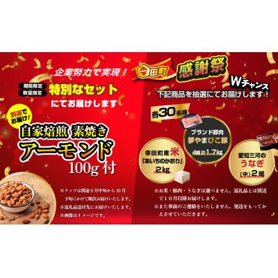 ふるさと納税 幸田町 【期間限定 幸田町感謝祭】エアウィーヴ ピロー　 ソフト |  | 02