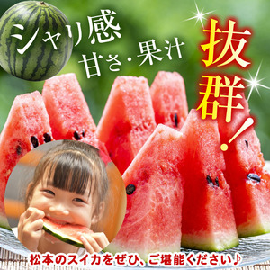 スイカ 下原すいか 信州松本波田産 2L ( 7kg ～ 8kg ) × 1玉 | フルーツ 夏 スイカ 西瓜 大玉スイカ シャキ感 甘い ふるーつ 果物 野菜 長野県 松本市 信州産 人気 ふるさと