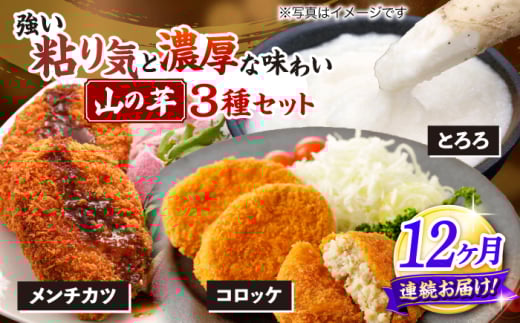 【全12回定期便】【冷凍】山の芋3種セット　（とろろ コロッケ メンチカツ） 山芋 とろろ 冷凍 やまいも 長芋 長いも 野菜 健康 三次市/吉舎食品 [APAD008]