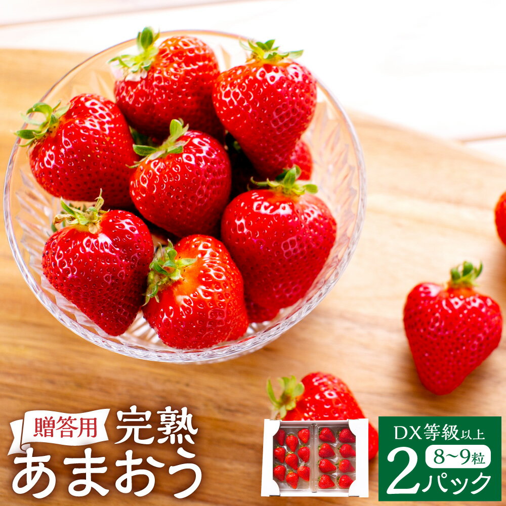 【ふるさと納税】 完熟 あまおう 贈答用 2パック 約250g～410g×2パック 総合計約500g～820g いちご イチゴ 苺 フルーツ 果物 大粒 くだもの 先行予約 福岡県 苅田町 送料無料 【2026年1月上旬-3月上旬発送予定】