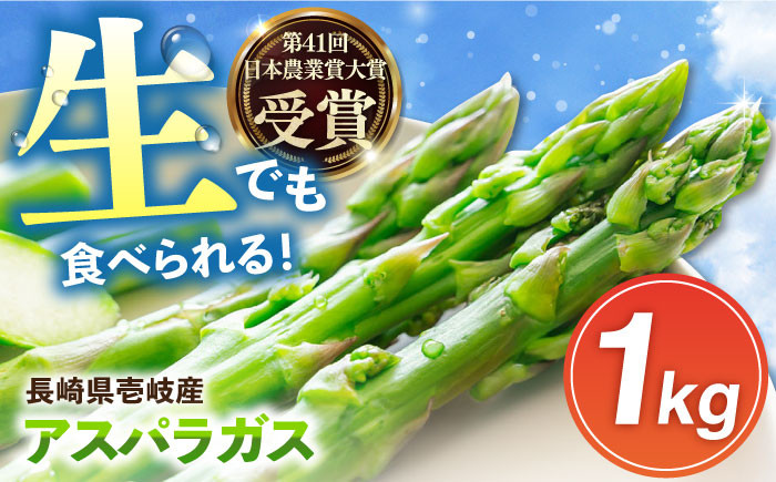 
壱岐産 アスパラガス 1kg《壱岐市》【壱岐市農業協同組合】[JBO004] 野菜 旬 春野菜 夏野菜 新鮮 産地直送 アスパラ 冷蔵配送 先行予約 夏野菜 春野菜 季節の野菜 グリーンアスパラガス 12000 12000円
