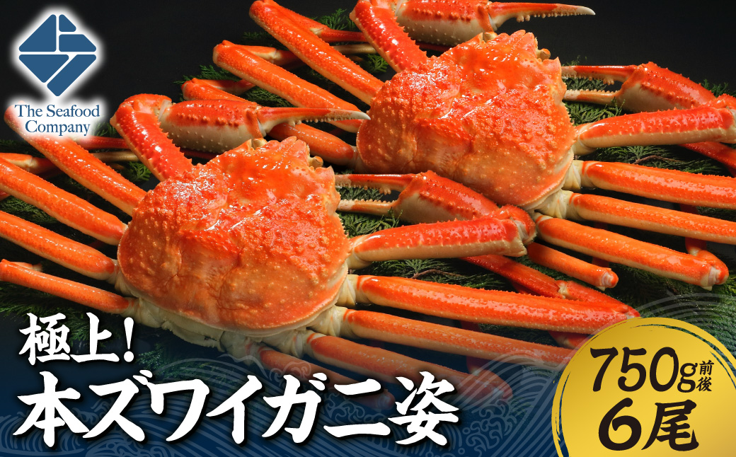 極上！本ズワイ蟹の姿　750g　6尾 | カニ ずわいガニ 海鮮 北海道 札幌市