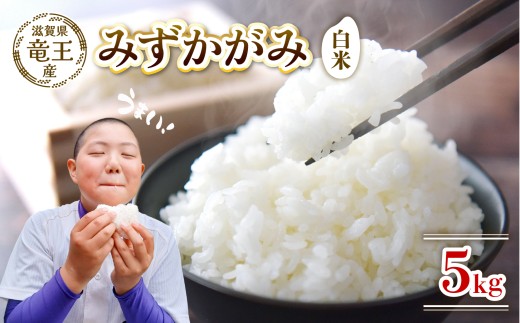 【新米 先行予約】 令和8年産米 みずかがみ 白米 5kg 米 滋賀県 竜王町 国産 農家直送 特別栽培米 ミズカガミ  2026年産 国産 農家直送 環境こだわり お米 こめ おこめ 産地直送 送料無料 滋賀県 竜王町 ふるさと納税