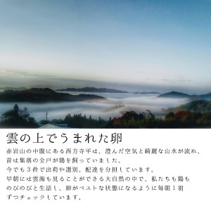 【卵 定期便３か月】赤岩高原たまご 40個×3か月 合計120個（特選）