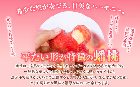 ◆2024年夏発送◆＜ 蟠桃・約2kg ＞ ※着日指定不可 ※離島への配送不可 ※2024年7月中旬～9月中旬頃に順次発送予定