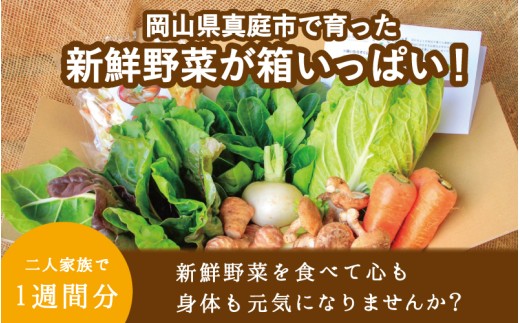【12カ月定期便】真庭あぐり野菜セット カット野菜が1品入る 7～8品 平飼い卵付き / 産地直送 農家 お試し 岡山県 新鮮 あぐりガーデン 国産 【配送不可地域：北海道／沖縄県／離島】 【jujy