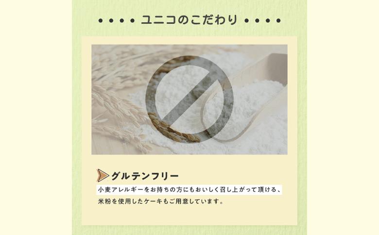 ショコラのバスクチーズケーキ:B100-003