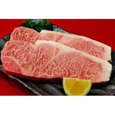 仙台牛サーロインステーキ　600g(約300g×2枚/2人分)【配送不可地域：離島】【1541363】