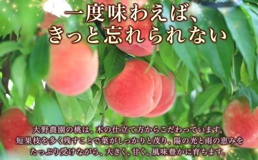 桃2kg（品種お任せ）5～8玉