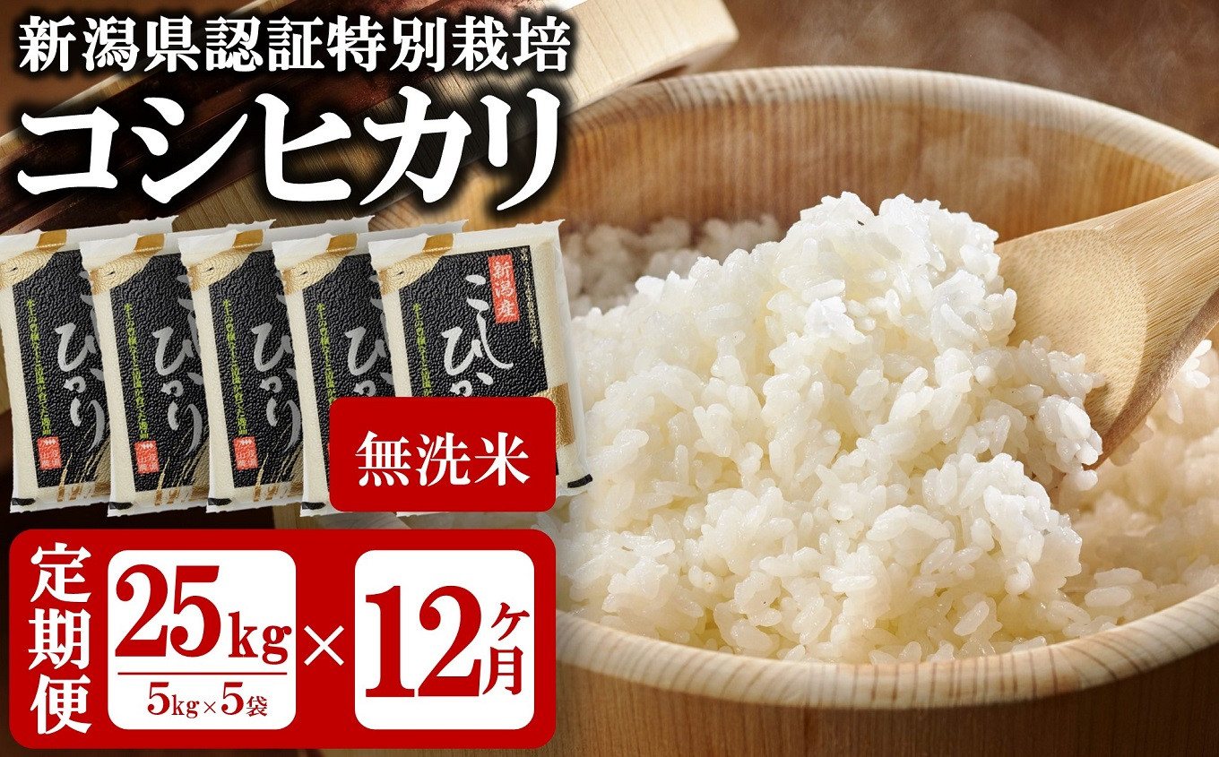 
【令和6年産新米・12ヶ月定期便】真空パック 特別栽培米 コシヒカリ 無洗米 25kg（5kg×5袋）×12回（計 300kg） 山波農場のお米 新潟県産 [Y0051]
