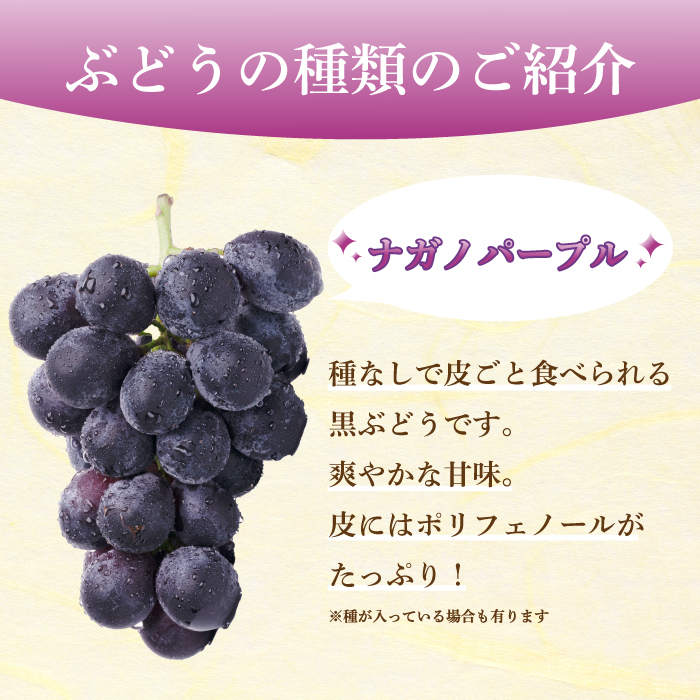 【先行受付】みのる農園おまかせ ぶどう食べくらべ（4房）葡萄 ブドウ 詰合せ 果物 フルーツ 2025年7月～10月上旬お届け 広島県三原市 206001