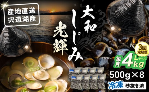 【全3回定期便】産地直送！宍道湖産 冷凍大和しじみLサイズ4kg(500g×8) 砂抜き処理済 島根県松江市/りすたむmatsue [ALDE016]｜しじみ シジミ 蜆 しじみ汁 味噌汁 みそ汁 宍道湖 しんじ湖 砂抜き 砂出し 魚介類 貝 魚貝類 健康 冷凍 産地直送 ていきびん おすすめ