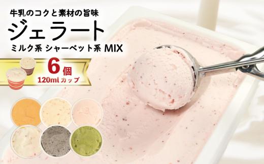 ジェラート 詰め合わせ 120ml 選べる 個数 6個 冷凍 フルーツ ギフト プレゼント 贈答 お取り寄せ グルメ 季節限定 冷凍 徳島県 吉野川市 株式会社マイスター社