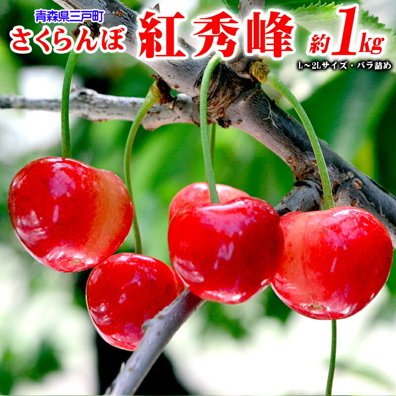 【ふるさと納税】さくらんぼ【紅秀峰】 約1kg（L〜2Lサイズ）バラ詰め【2025年産・先行予約】★2025年6月下旬〜7月中旬頃にかけて順次発送予定★