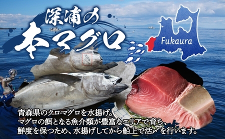 国産天然本マグロの中トロセット C-04