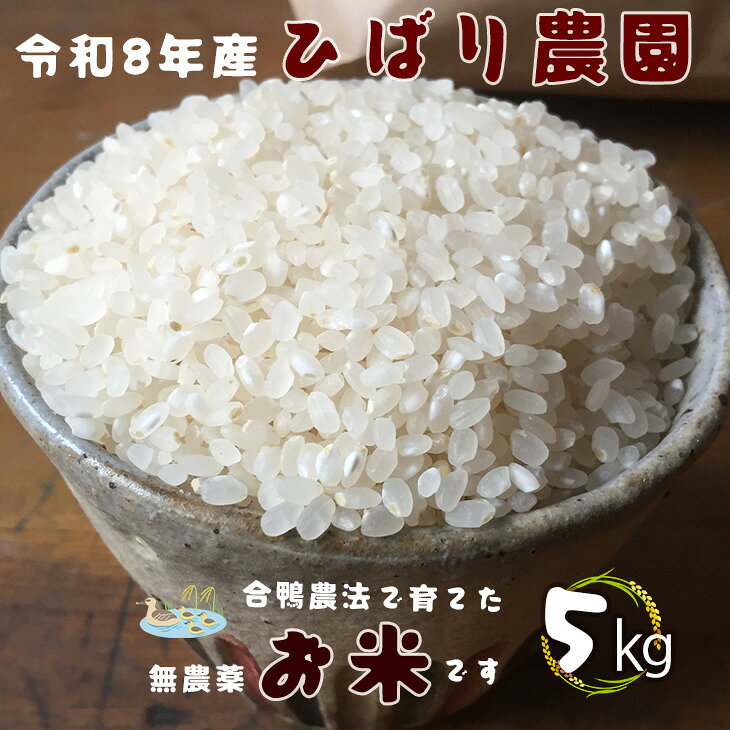 【ふるさと納税】【予約受付】無農薬 お米 合鴨農法で育てたひばり農園 令和7年産 白米5kg りくう132号