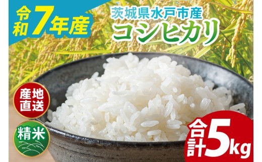 
                  【翌月より順次発送】【数量限定】【令和7年産】茨城県産コシヒカリ 5kg【食味ランキング特A評価 米 おこめ こしひかり 農家直送 直送 水戸市 茨城県】(ND-3)
                