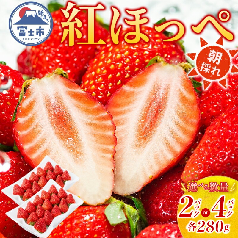 【ふるさと納税】 期間限定 富士市産 いちご 紅ほっぺ 選べるパック数 約280g (2P/4P) 朝どれ 新鮮いちご 糖度が高い 甘み 香り 凝縮 酸味 ジューシー ほっぺが落ちる 人気 果物 フルーツ 旬 ギフト 贈り物 【配送不可地域：沖縄・離島】 [sf123-001] [sf123-002]